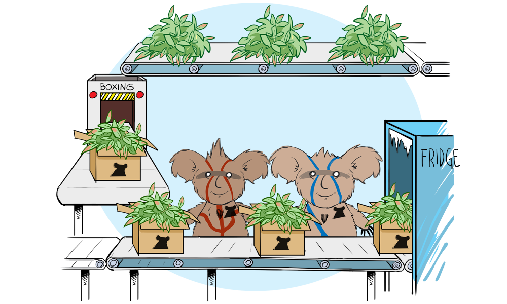 Koala Food Production