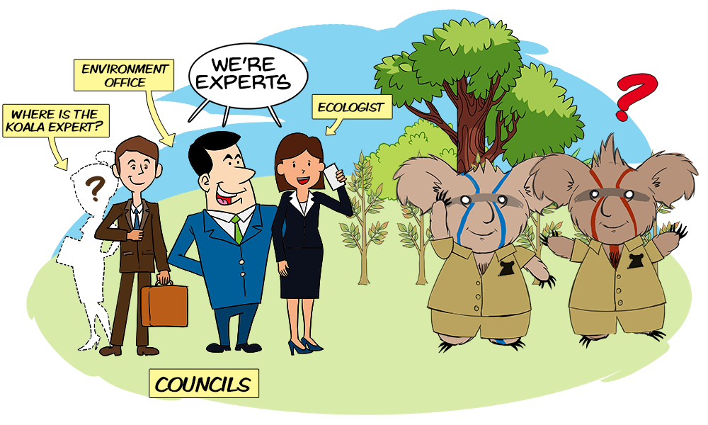 15a.-Explain to me who's a Koala Expert: Part-2